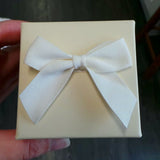 Rainbow bridge resin paw print heart, pet memorial ash urn keepsake