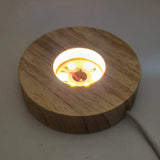 Lock of hair sunflower memorial keepsake ball paperweight or globe table lamp