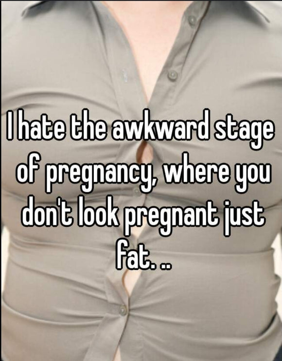 I'm not fat, I'm pregnant...ok, so maybe a little fat.