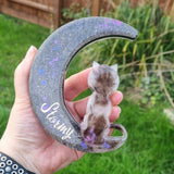 Night sky crescent moon CAT MEMORIAL KEEPSAKE// Eco resin cat ash and fur memorial