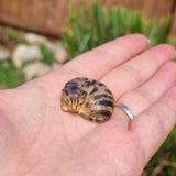 3D HAND PAINTED PET PORTRAIT MEMORIAL CAT