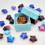 3D HAND PAINTED PET PORTRAIT MEMORIAL CAT