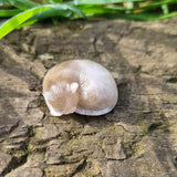 FUR AND ASH CAT MEMORIAL