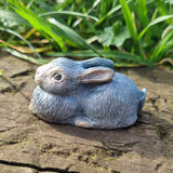 3D HAND PAINTED PET PORTRAIT MEMORIAL RABBIT