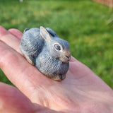 3D HAND PAINTED PET PORTRAIT MEMORIAL RABBIT