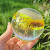 LOCK OF HAIR SUNFLOWER GLOBE MEMORIAL PAPERWEIGHT/LAMP