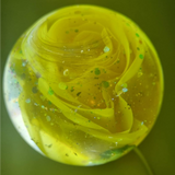 LOCK OF HAIR ROSE GLOBE MEMORIAL PAPERWEIGHT/LAMP