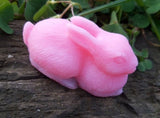 Ecopoxy Bunny rabbit Gender reveal gift in a choice of colours, new mom gift, baby shower gift