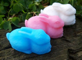 Ecopoxy Bunny rabbit Gender reveal gift in a choice of colours, new mom gift, baby shower gift